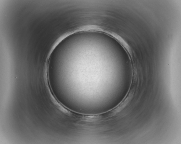 X0000115551390200911131555