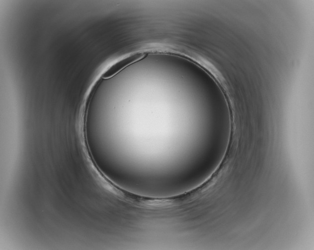 X0000115551392200911131555