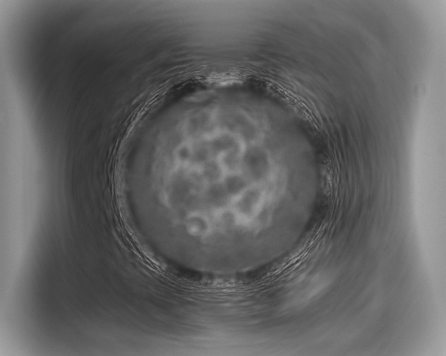 X0000115551393200911131555