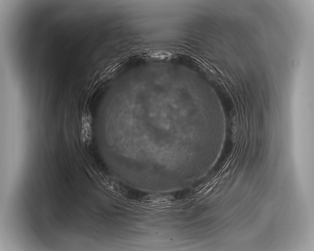 X0000115551394200911131555