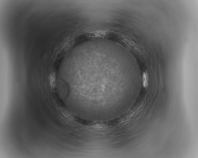 X0000115551395200911131555