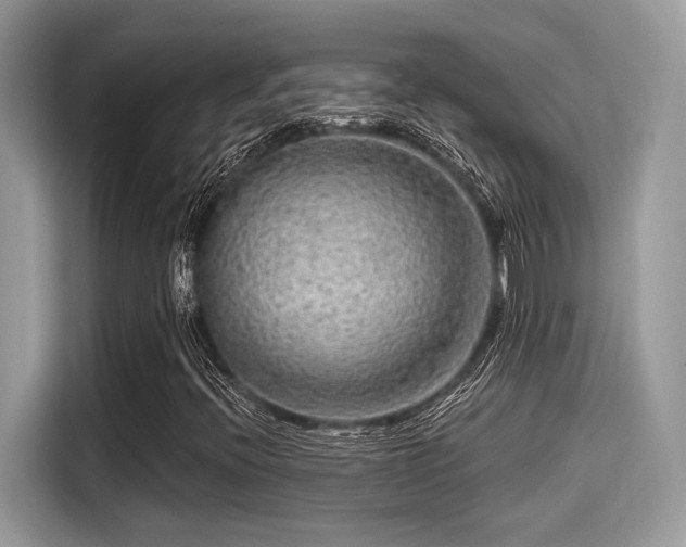 X0000115551396200911131555