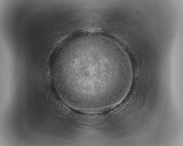 X0000115551398200911131555
