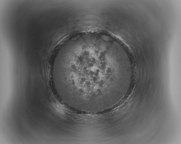 X0000115551399200911131555