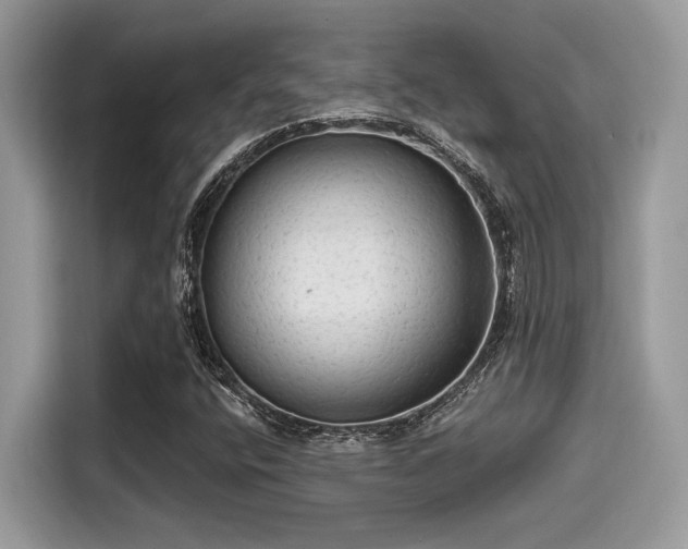 X0000115551400200911131555