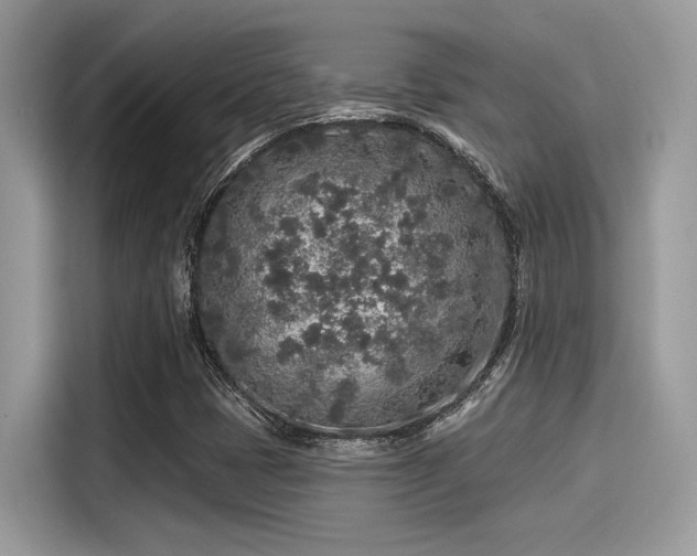X0000115551401200911131555