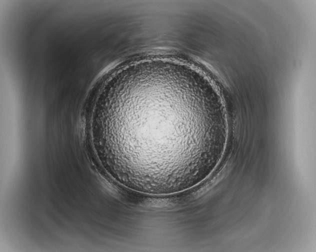 X0000115551402200911131555
