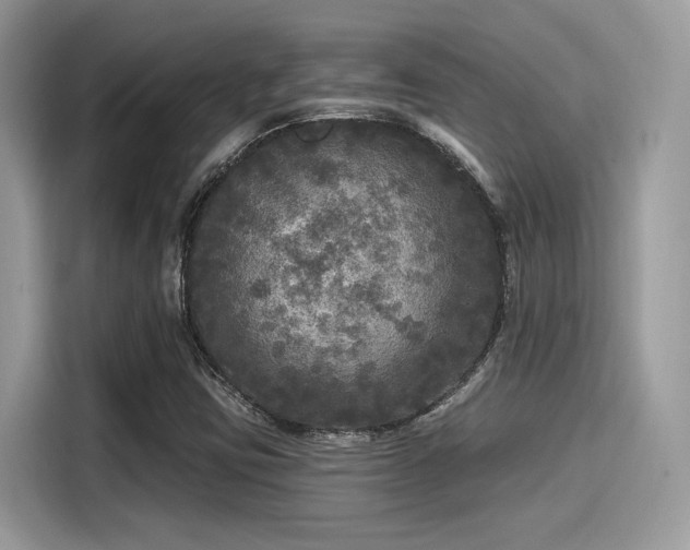 X0000115551403200911131555
