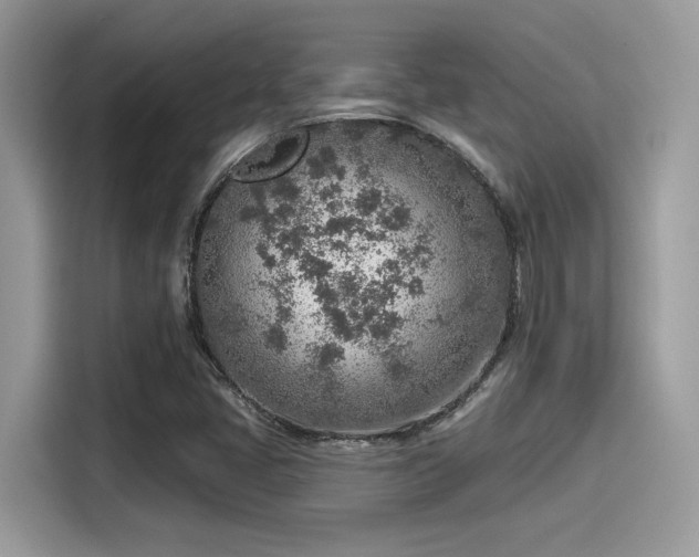 X0000115551405200911131555