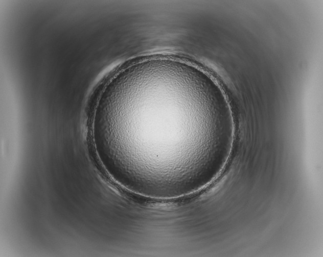 X0000115551406200911131555