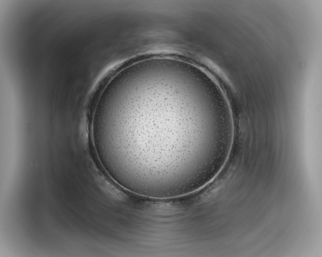 X0000115551408200911131555