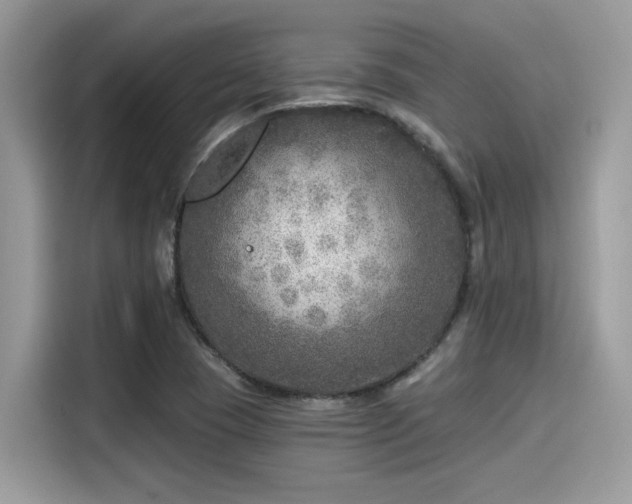 X0000115551409200911131555