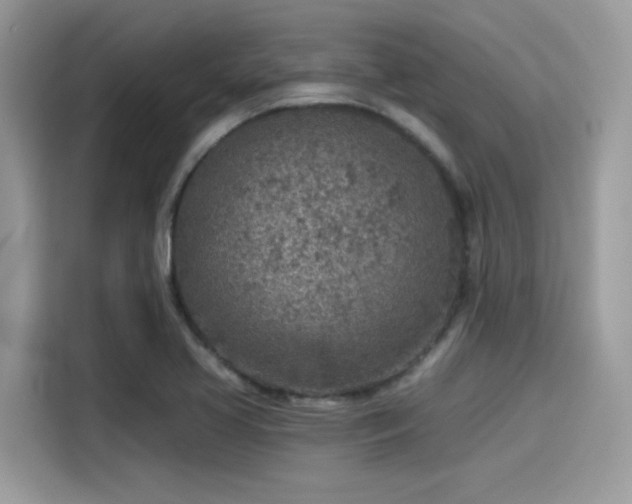 X0000115551413200911131555
