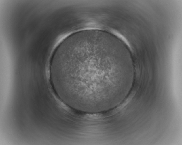 X0000115551415200911131555