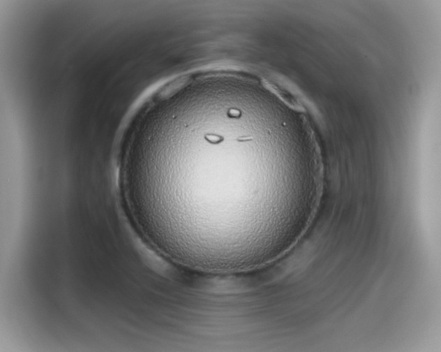 X0000115551416200911131555