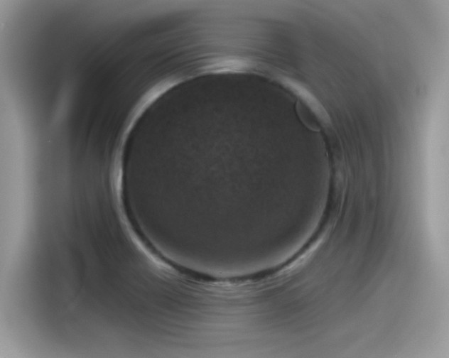 X0000115551418200911131555