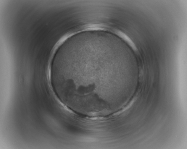 X0000115551419200911131555