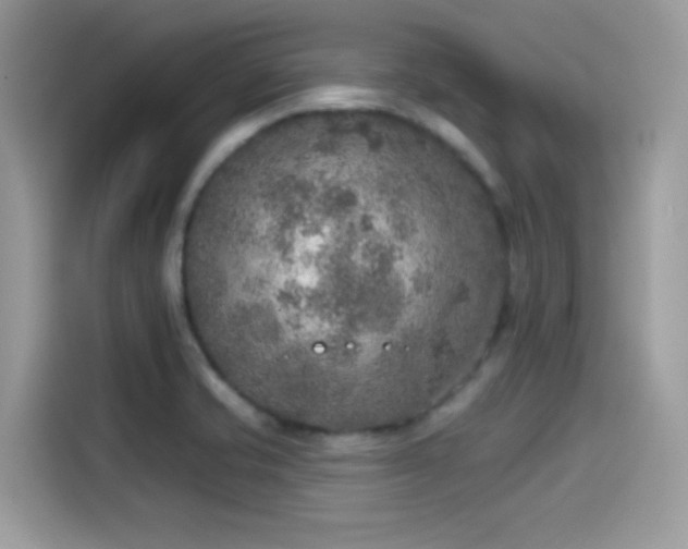 X0000115551421200911131555