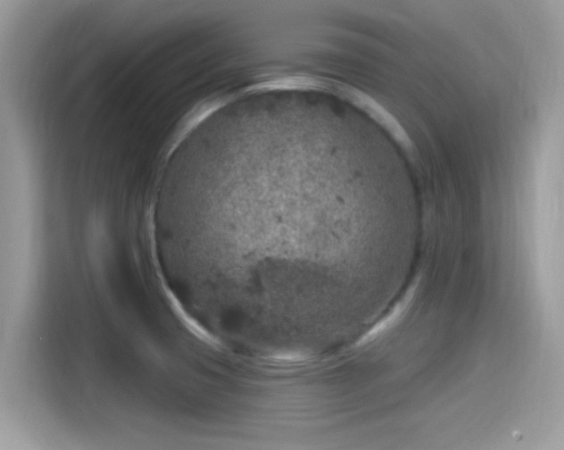 X0000115551425200911131555