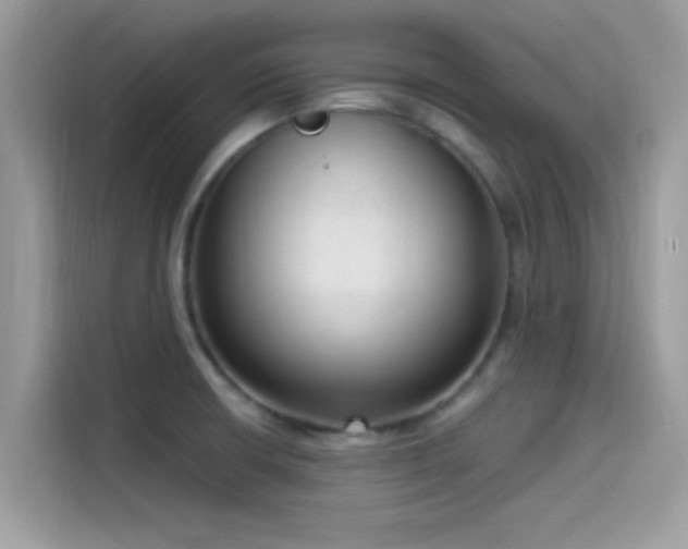 X0000115551426200911131555