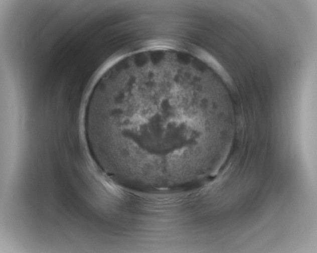 X0000115551427200911131555