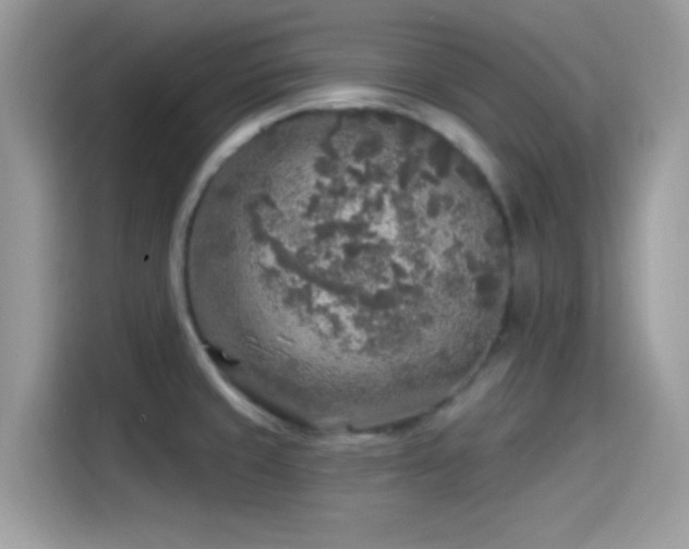 X0000115551429200911131555