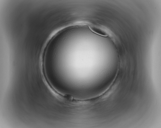 X0000115551430200911131555