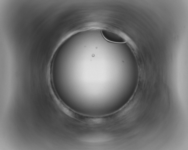 X0000115551431200911131555