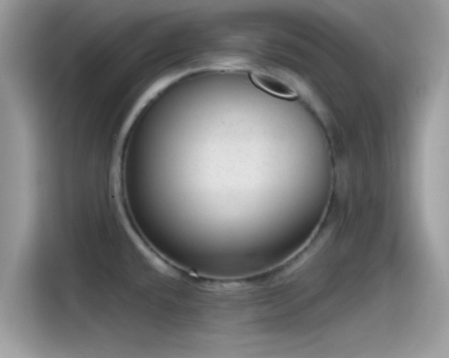 X0000115551432200911131555