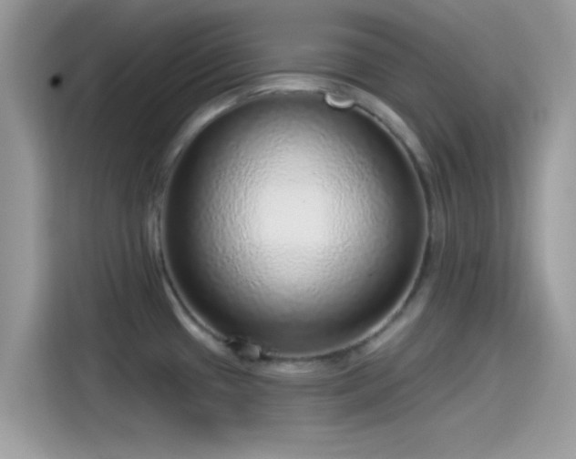 X0000115551433200911131555