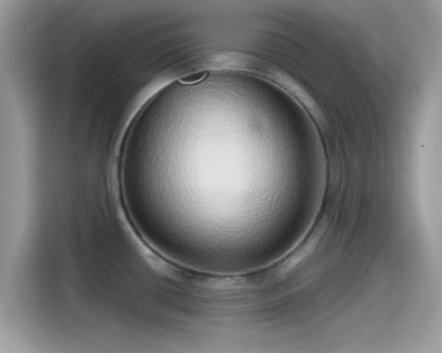 X0000115551434200911131555
