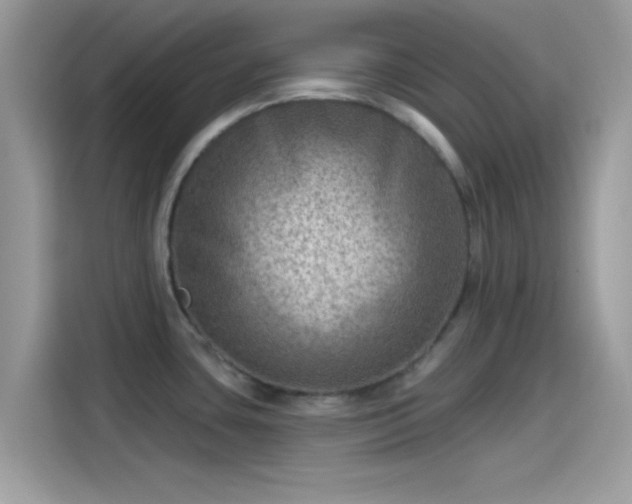 X0000115551435200911131555
