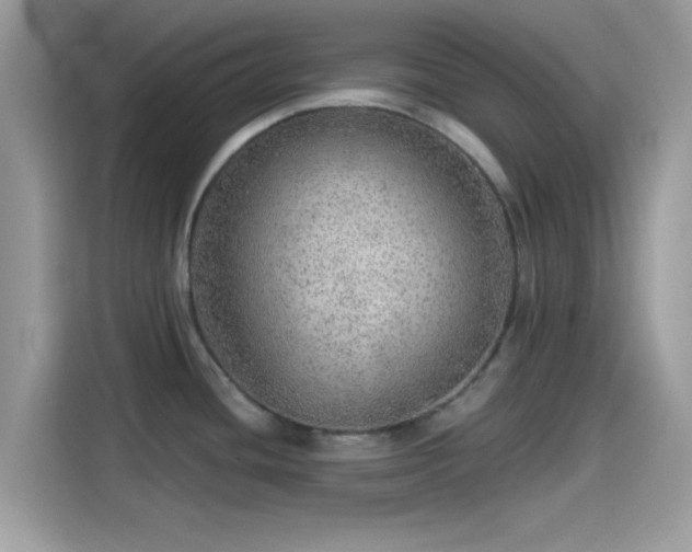 X0000115551436200911131555