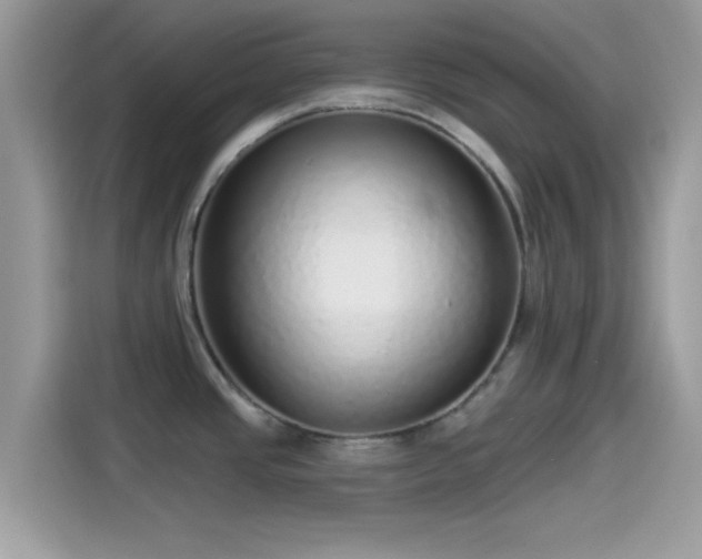 X0000115551437200911131555