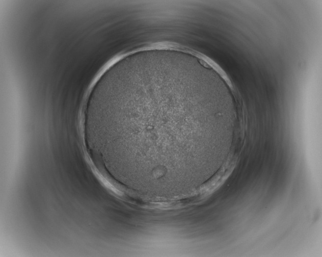 X0000115551438200911131555