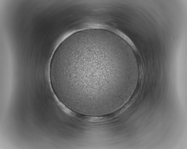 X0000115551439200911131555