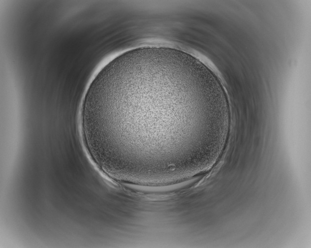 X0000115551440200911131555