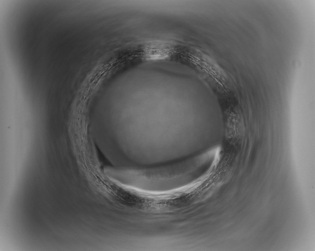 X0000115551441200911131555