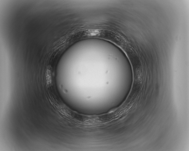 X0000115551442200911131555