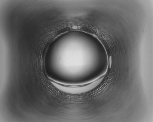 X0000115551443200911131555