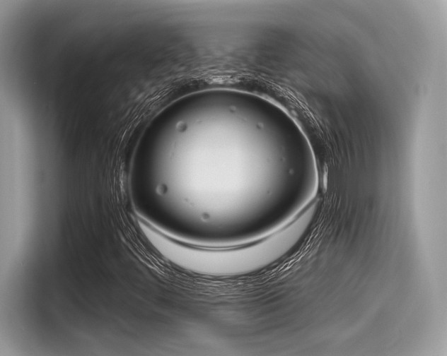 X0000115551444200911131555