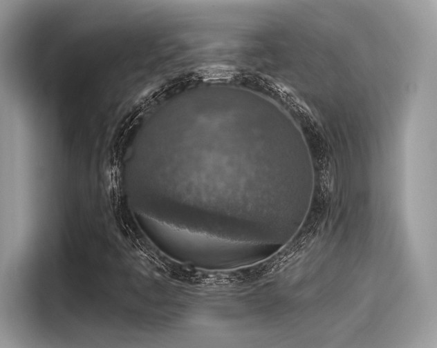 X0000115551445200911131555