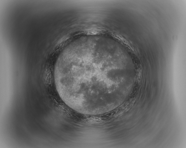 X0000115551446200911131555
