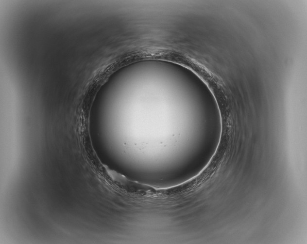 X0000115551447200911131555