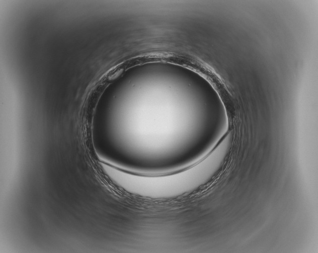 X0000115551448200911131555