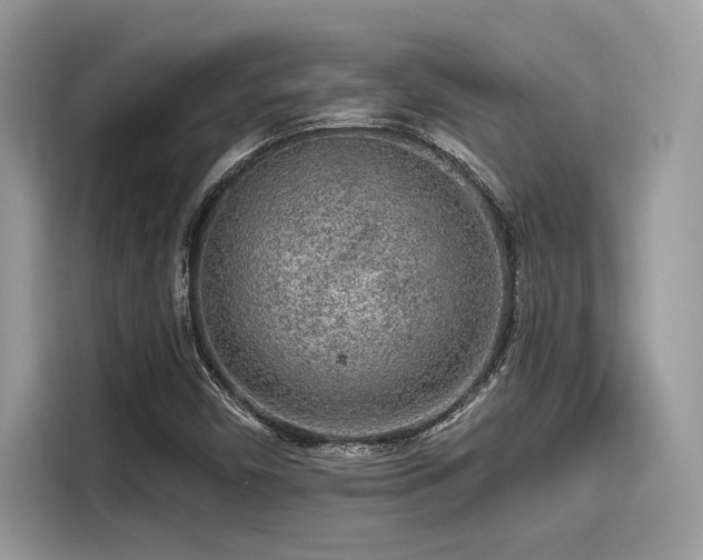 X0000115551450200911131554