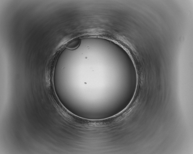 X0000115551451200911131554