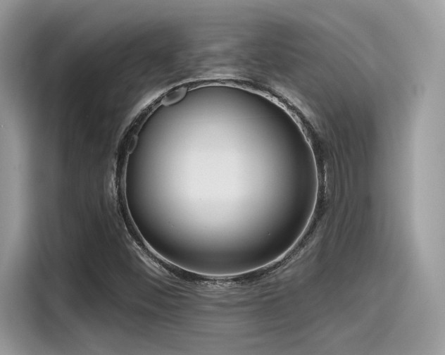 X0000115551452200911131554