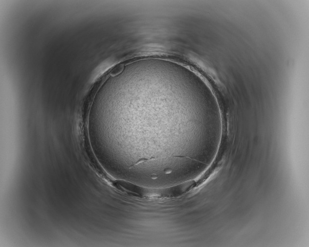 X0000115551453200911131554