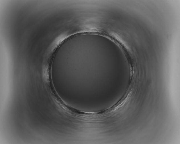 X0000115551455200911131554
